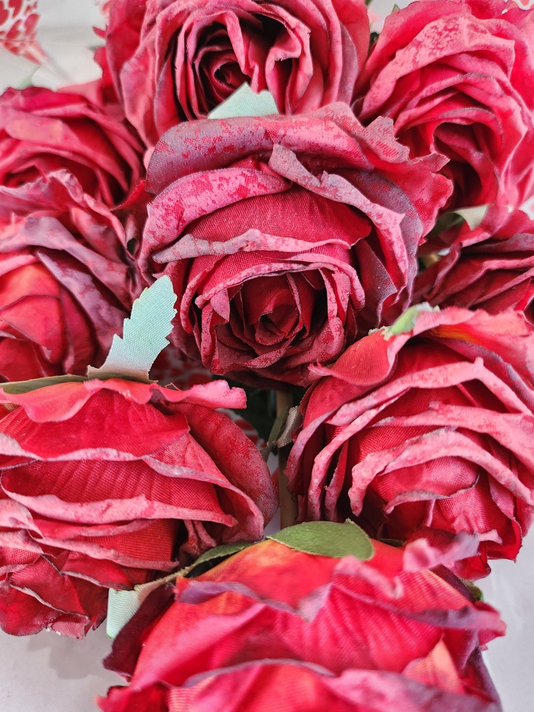 Brassée de roses rouges et blanches
