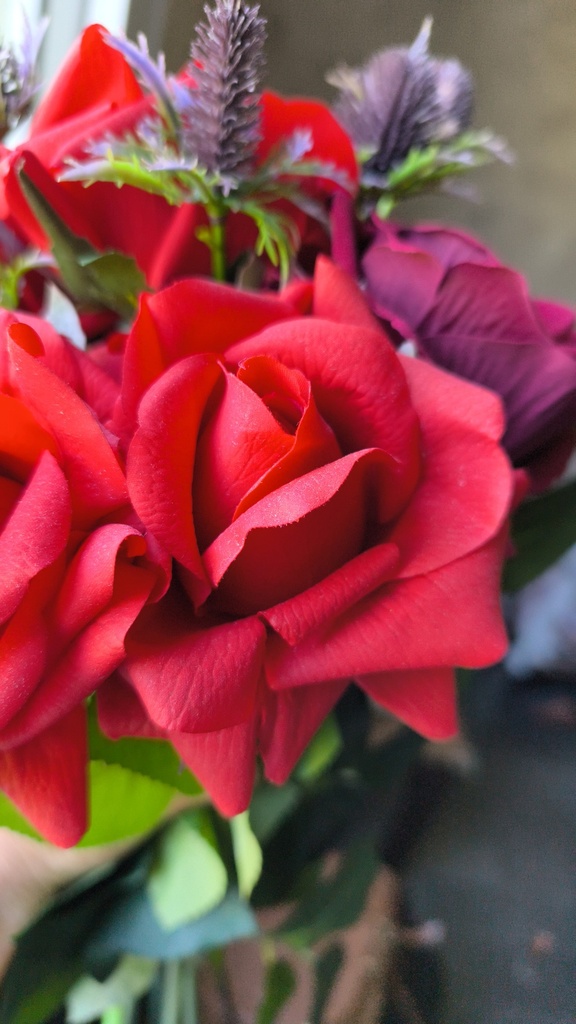 Bouquet de roses rouges et chardons