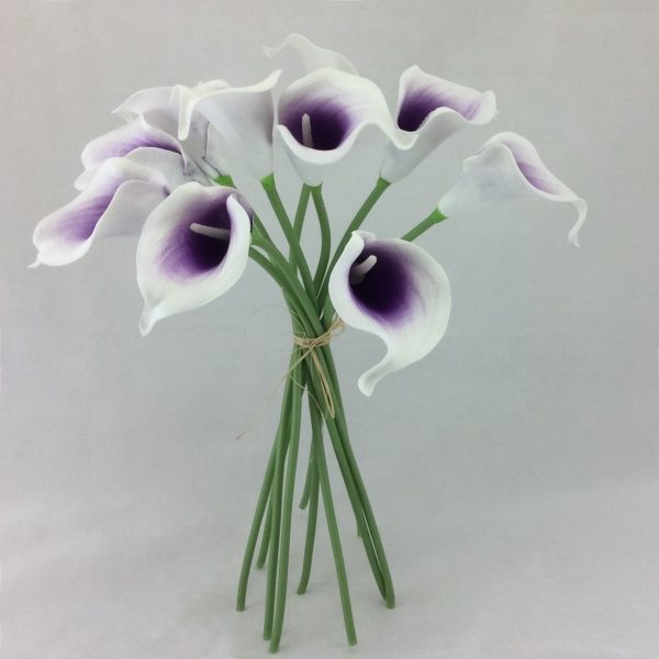 violet et blanc