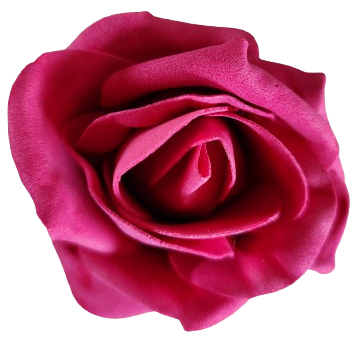 Rose en mousse