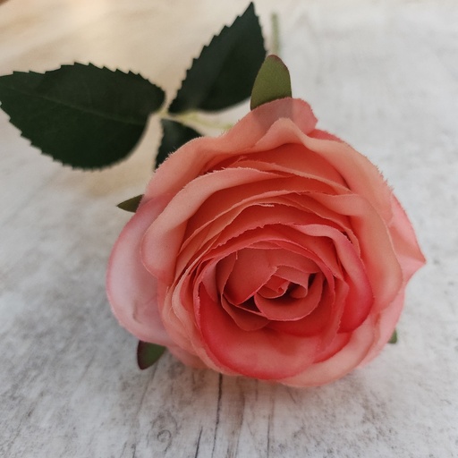 Rose à la pièce (10 pièces disponibles)