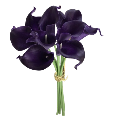 Echantillon lys callas