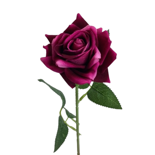 Une rose éternelle à offrir